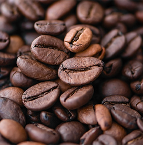 ¿Qué permisos necesitas para exportar café peruano? Guía básica para productores