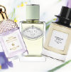 Perfumes y aromas