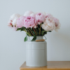 Rosas y flores